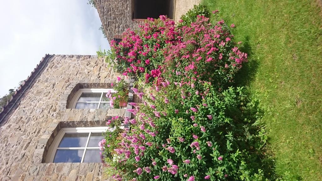 B&B Aux Anges Profondeville Exterior foto